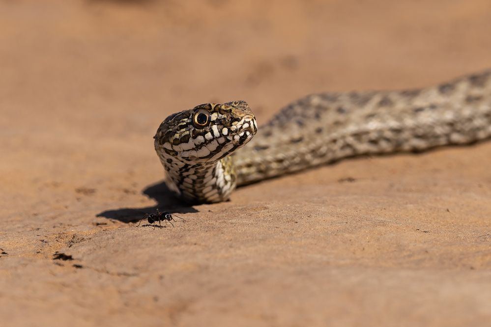 Photograph by Александр Ильин