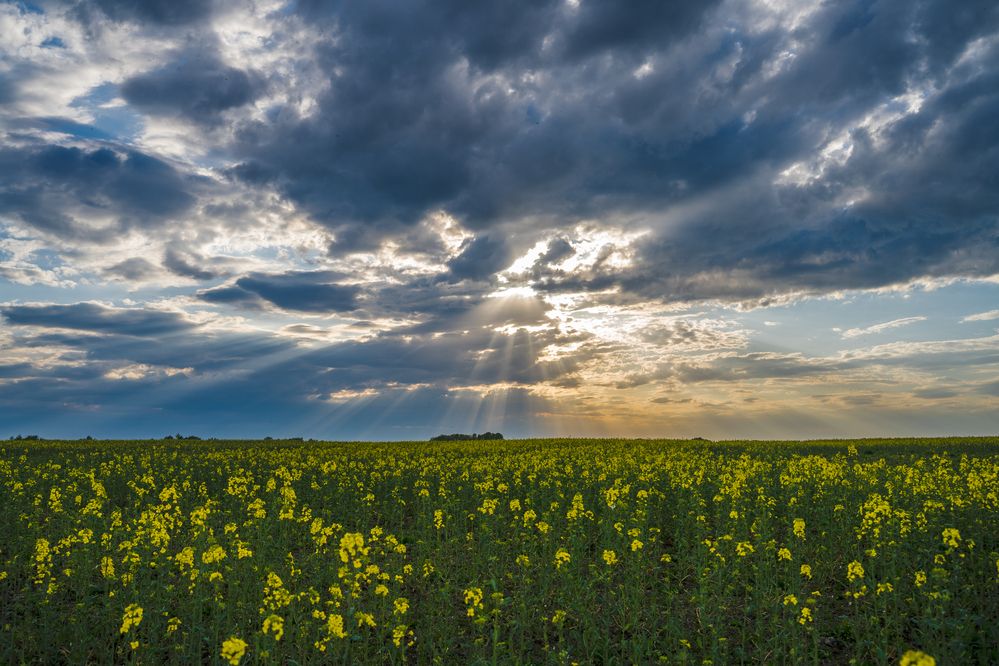 Photograph by Vitaly Zubkov