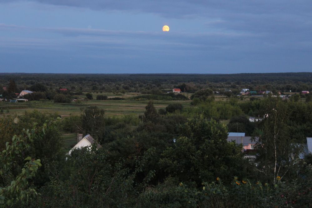 Photograph by Елена Коробченко