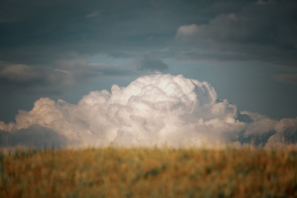 Фотография автора Елена Чиликина