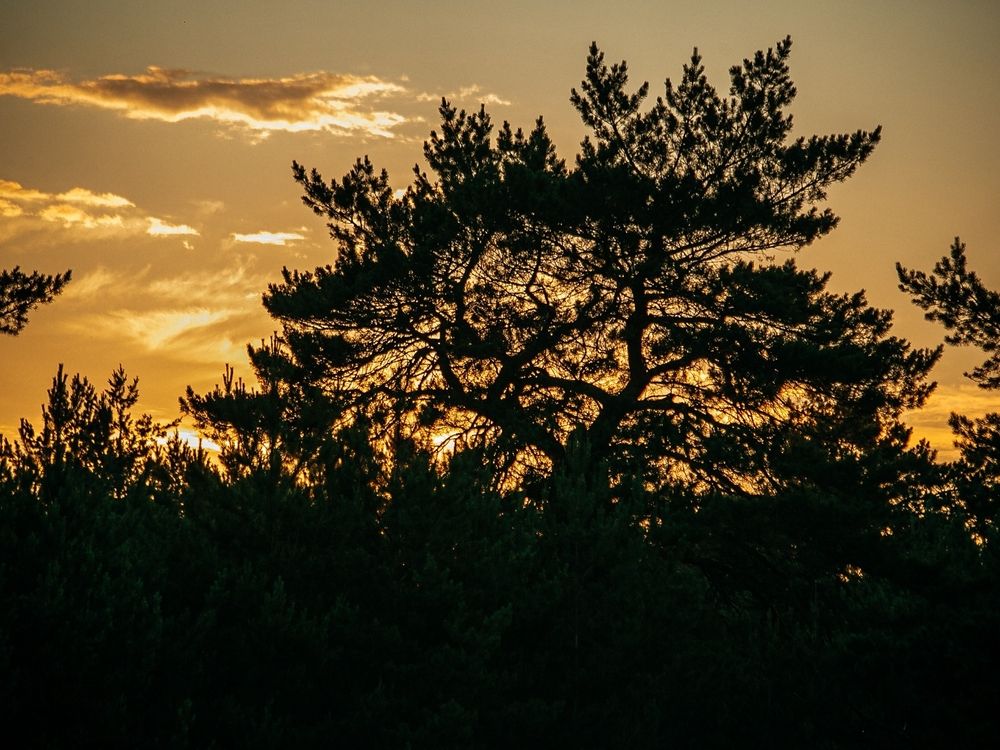 Фотография автора Елена Чиликина