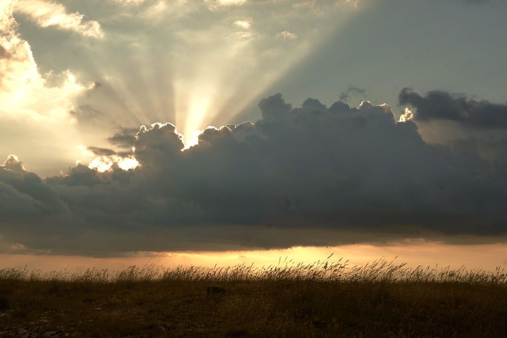 Photograph by Marina Odintsova