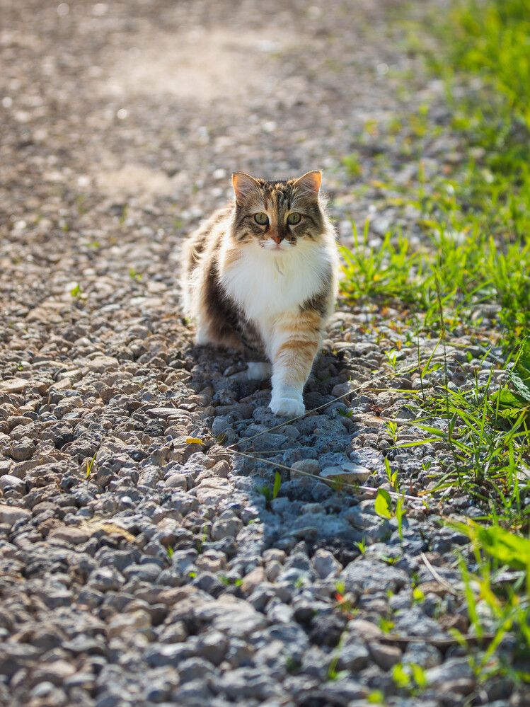 Photograph by Андрей Коновалов