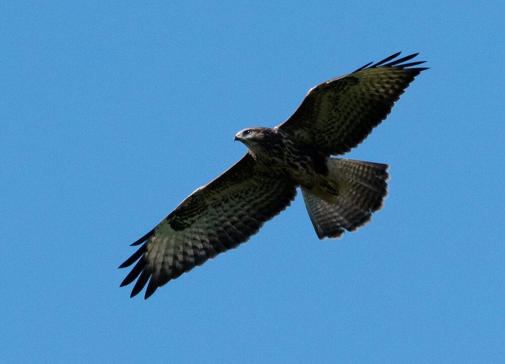 Photograph by Дмитрий Ткаченко