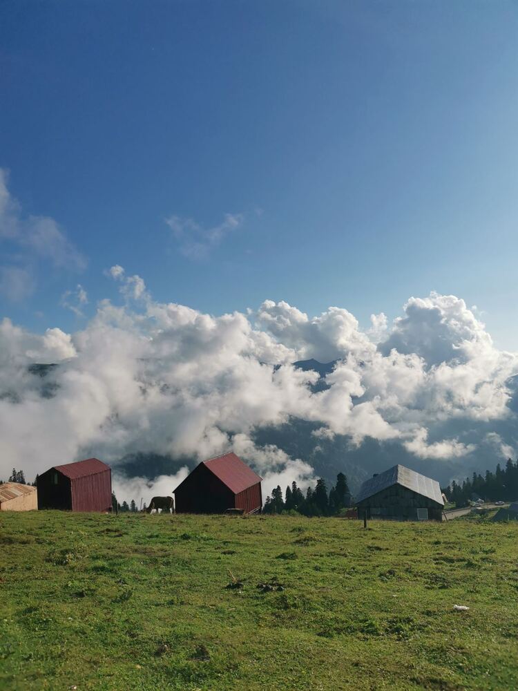 Photograph by Янина Найденцева