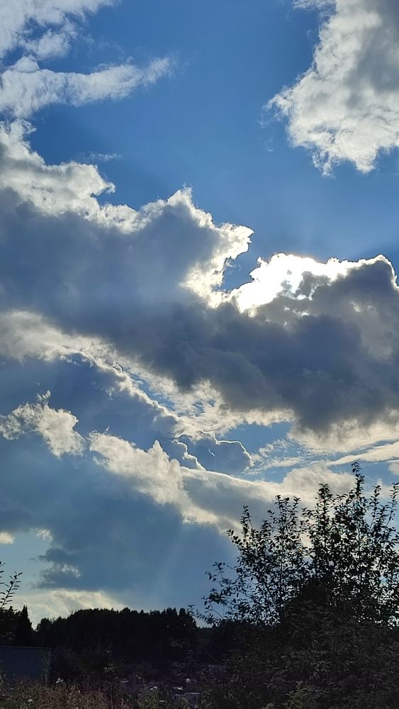 Photograph by Полина Скурская