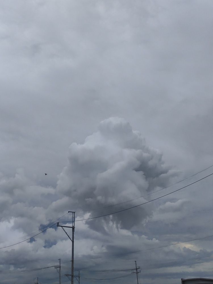 Photograph by Ma Leonor B Gonzales