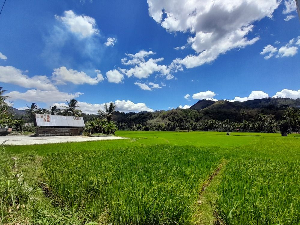 Фотография автора Zulfa