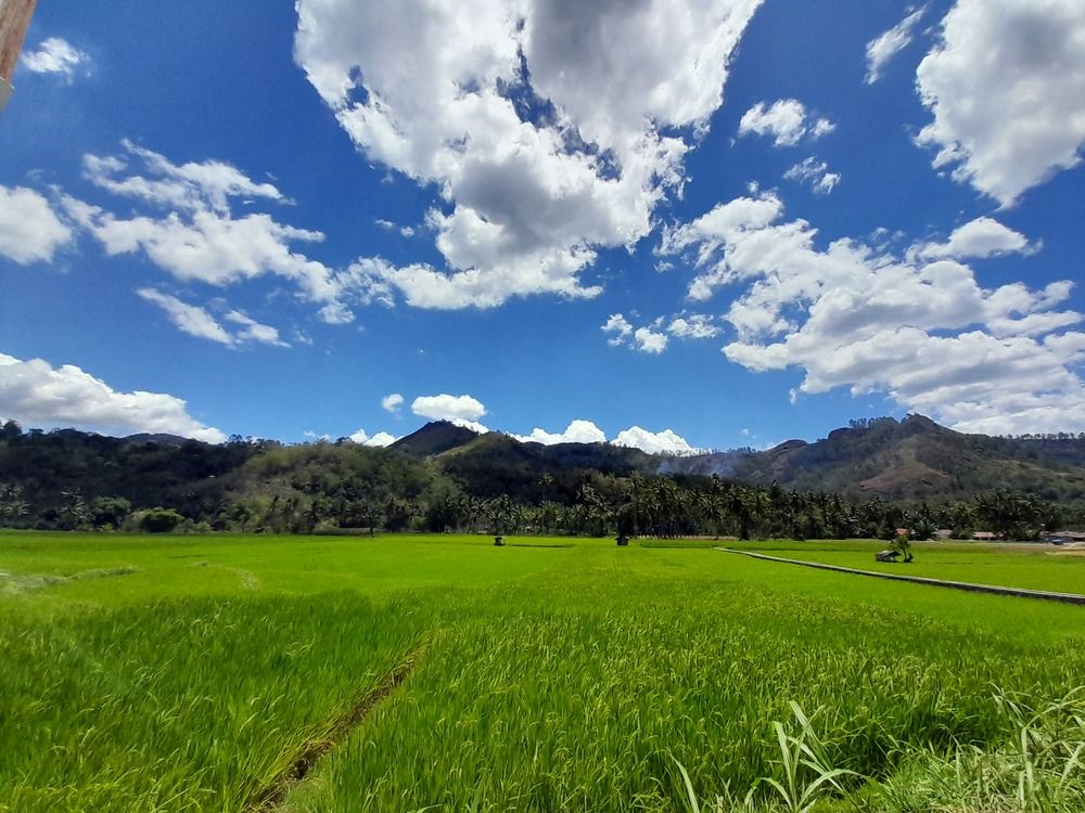 Фотография автора Zulfa