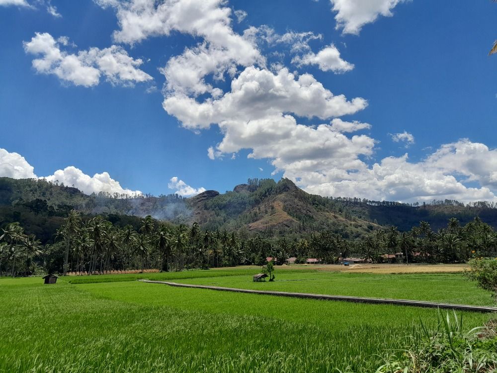 Фотография автора Zulfa