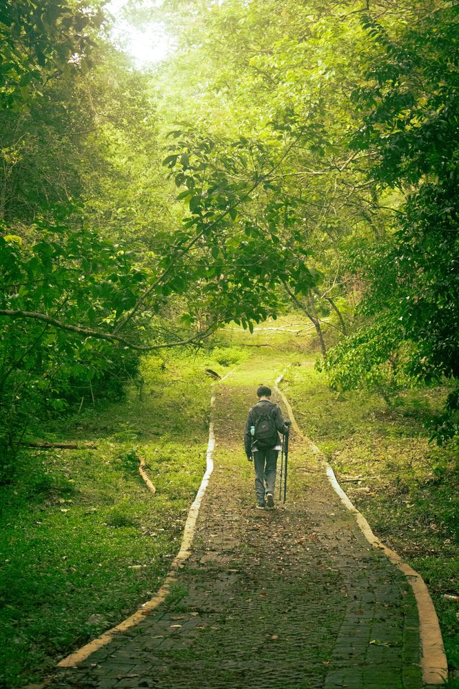 The Path of Solitude