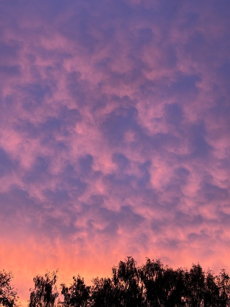 Photograph by Антон Тимошевский