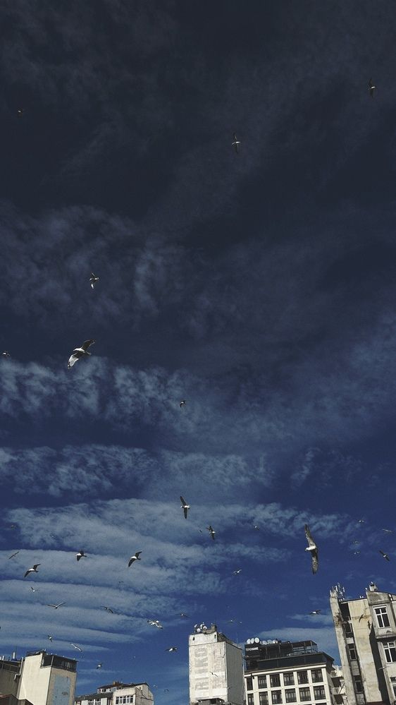 Photograph by Виктория Максименко