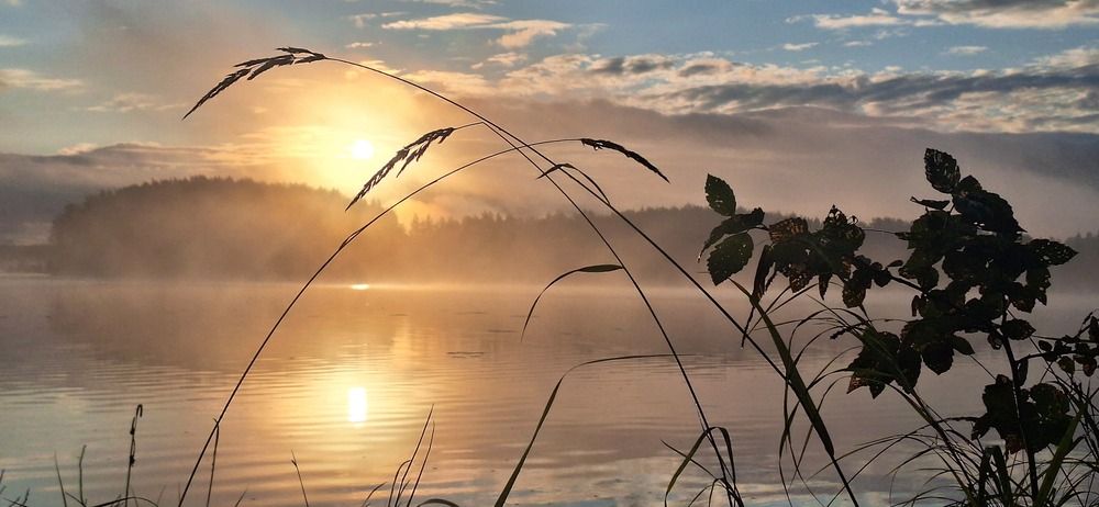 Photograph by Николай Дибров