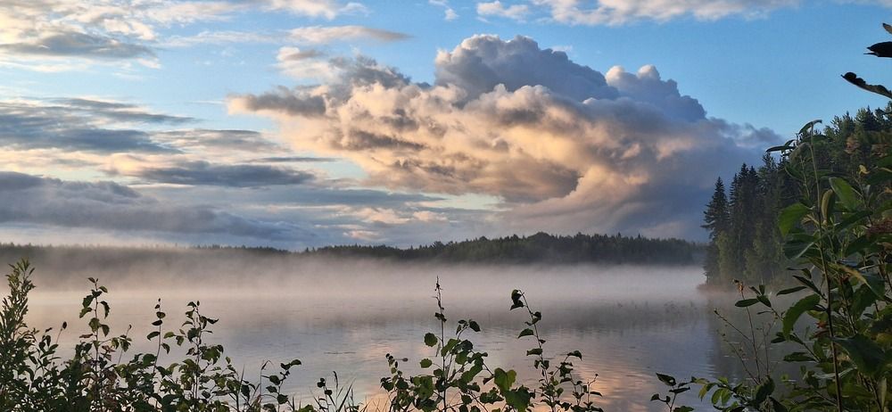 Photograph by Николай Дибров