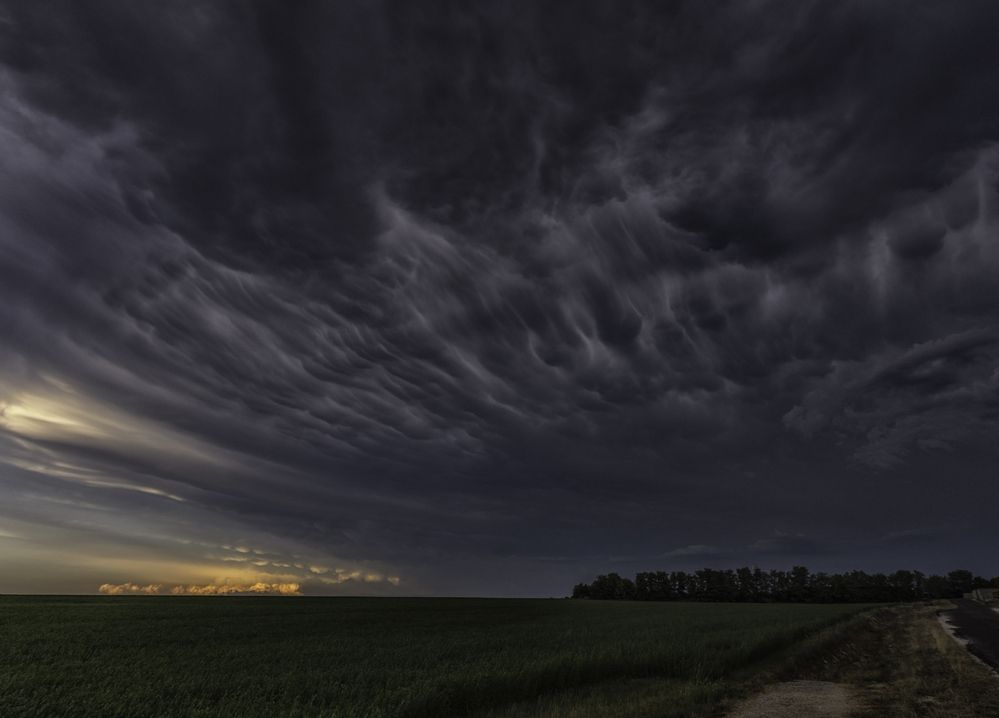 Photograph by Zoltan Gelencser