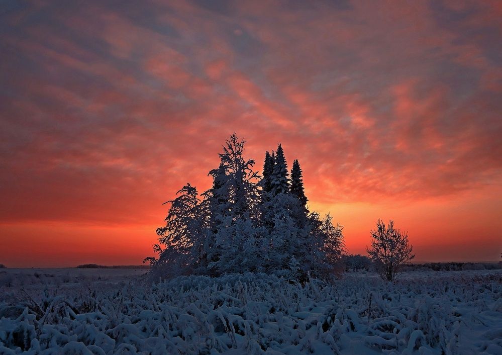 Photograph by Виктор Решетников