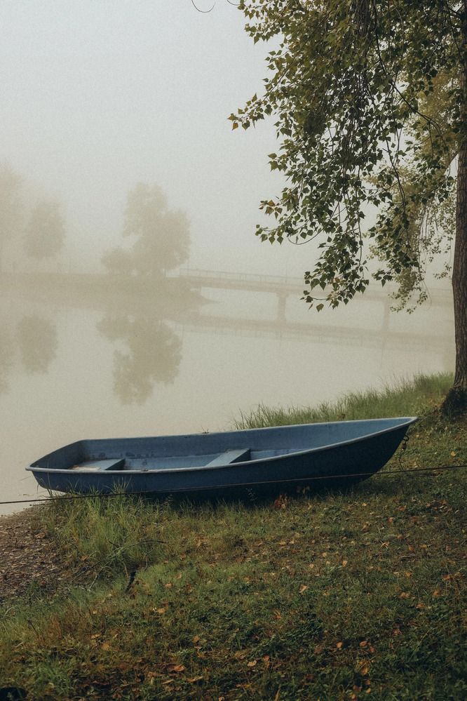Photograph by Анна Курлаева