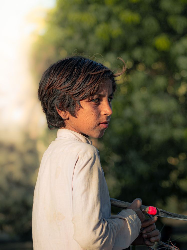 The Silent Gaze