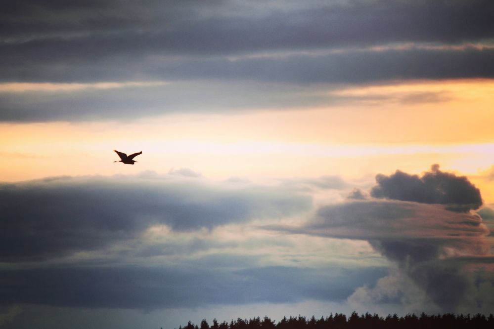 Photograph by Ольга Рыбина