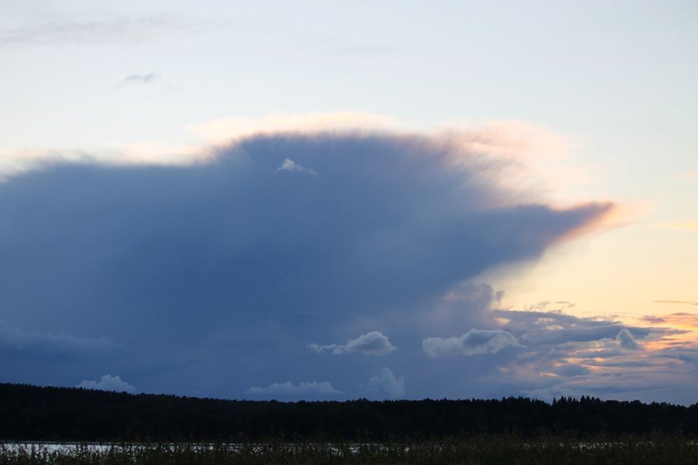 Photograph by Ольга Рыбина