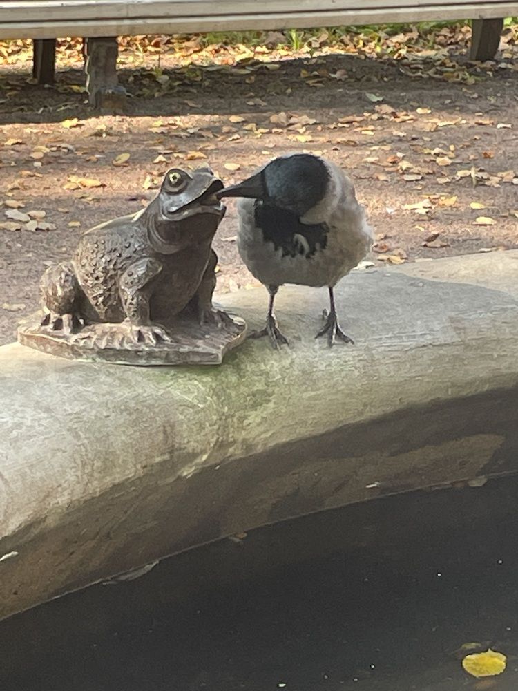 Photograph by марина