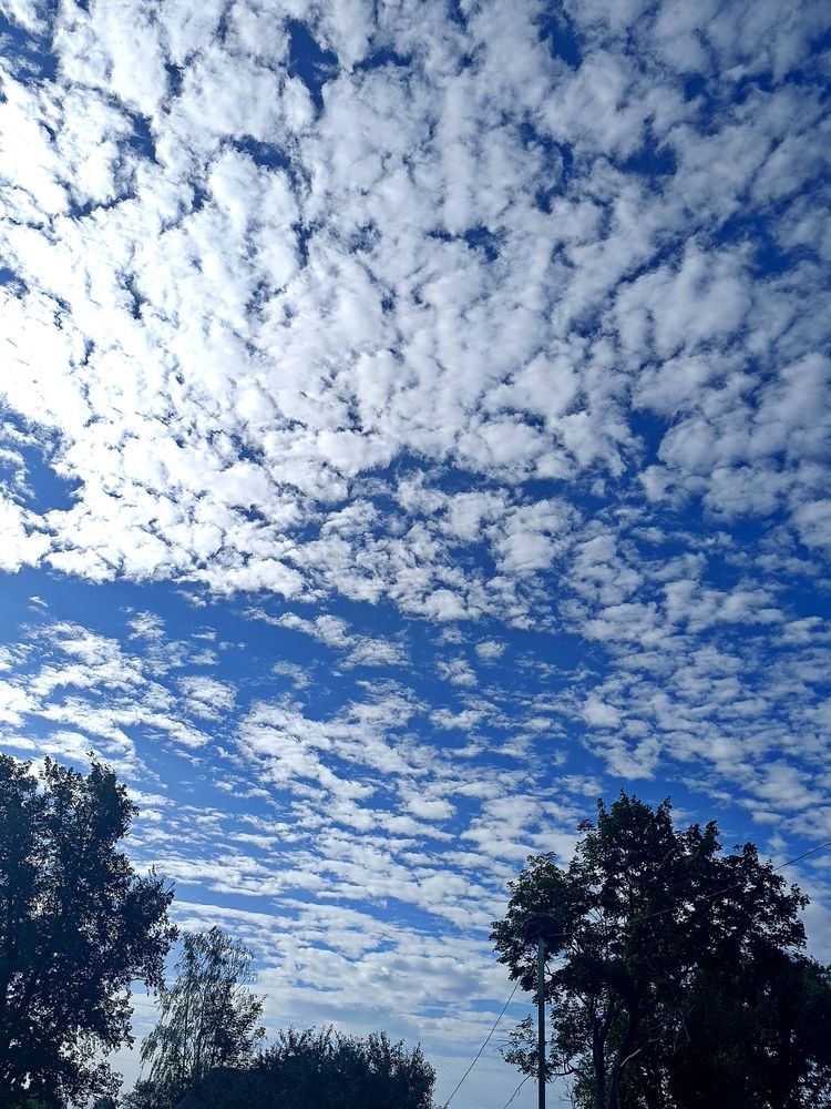 Photograph by Валентина Ливада