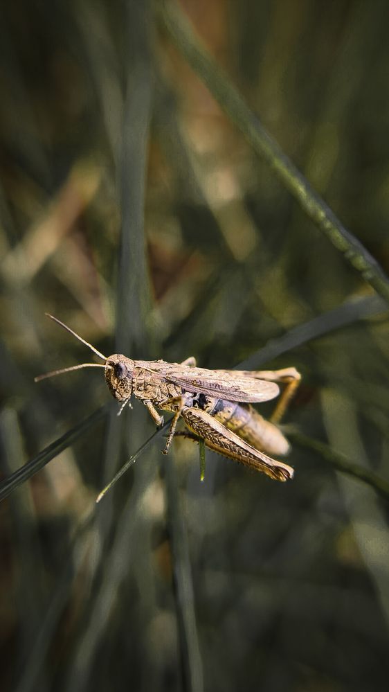 Photograph by Eugenia Zhenya