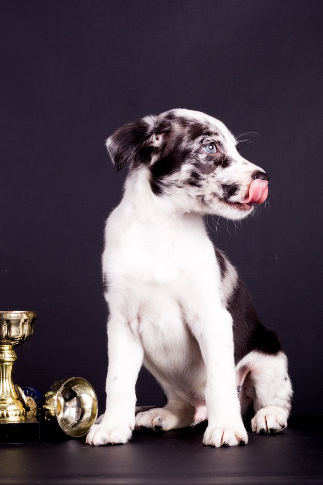 Photograph by Казакова Ирина Николаевна