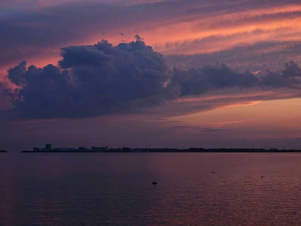 Фотография автора Наташа Данилова