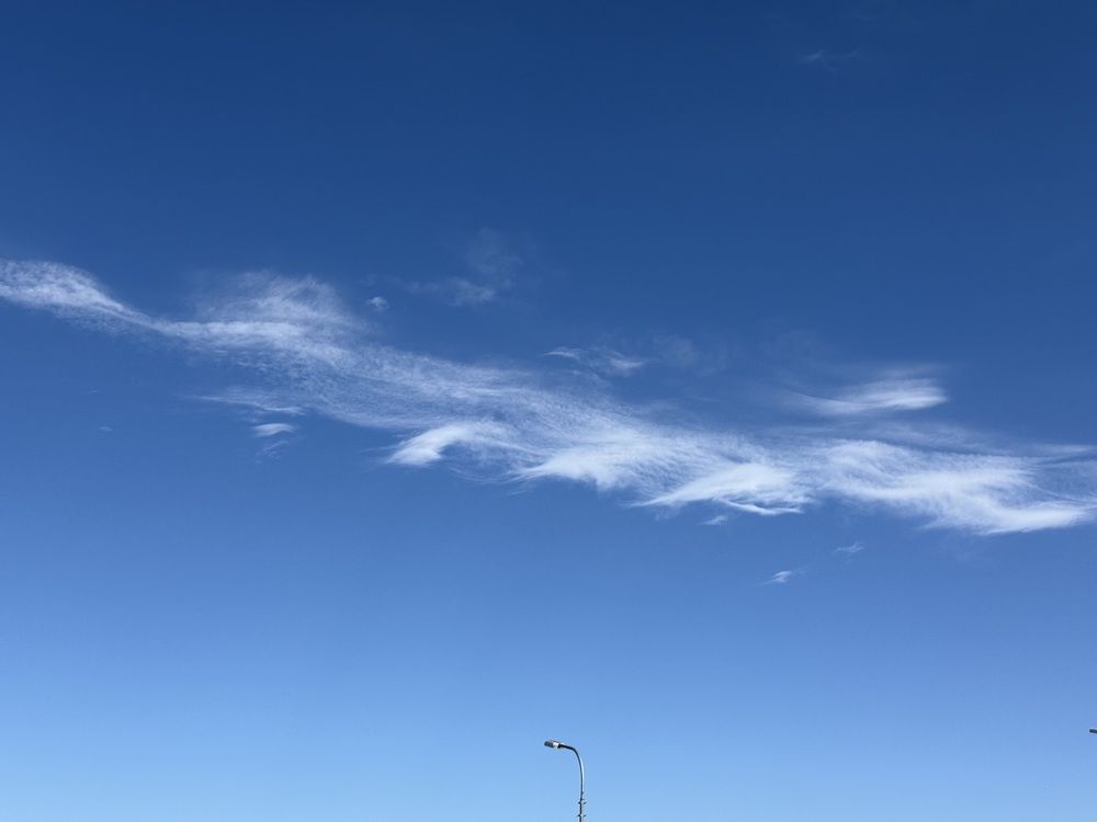 Фотография автора Бороненков Вадим