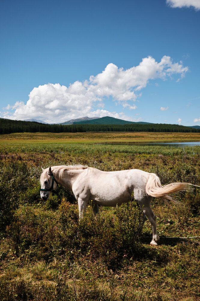 Photograph by Сячин Саша