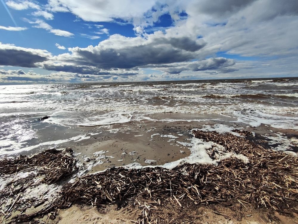 Photograph by Елена Белькова