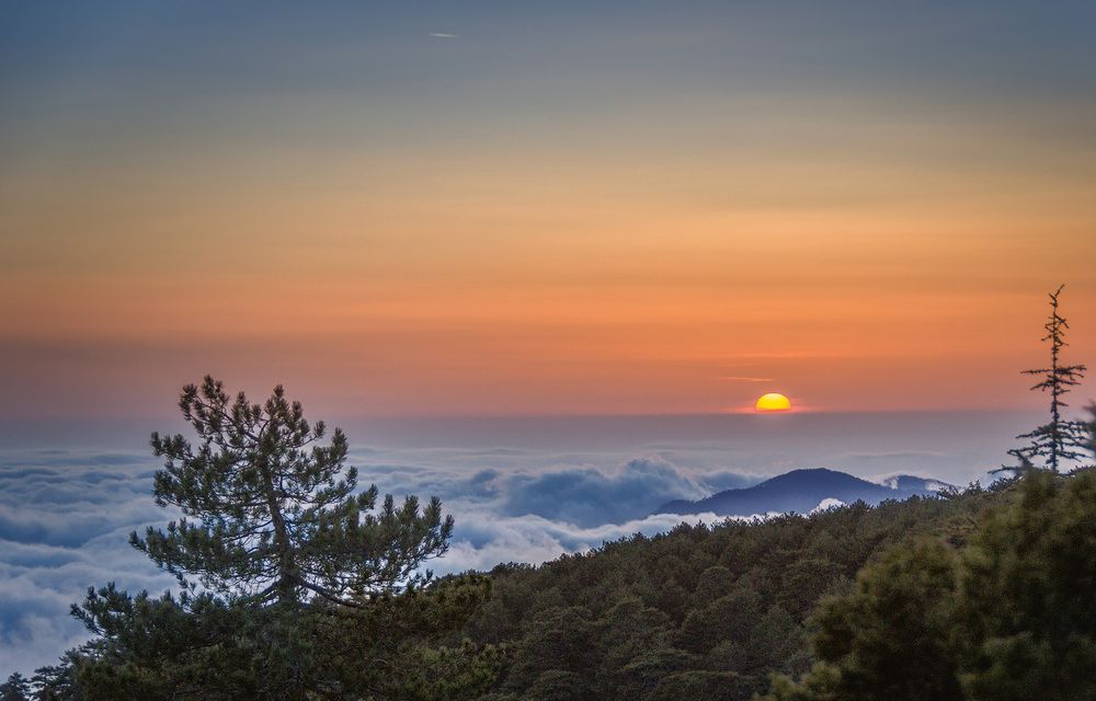 Photograph by Алексей Козлов