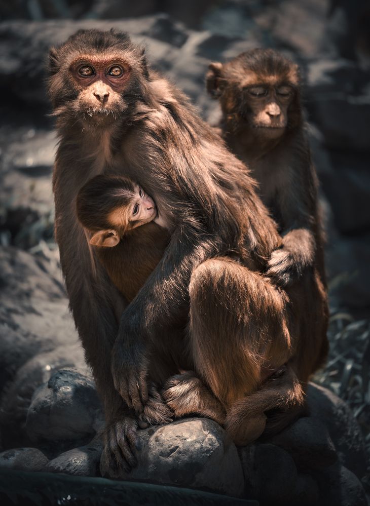 Фотография автора Купчиков Илья