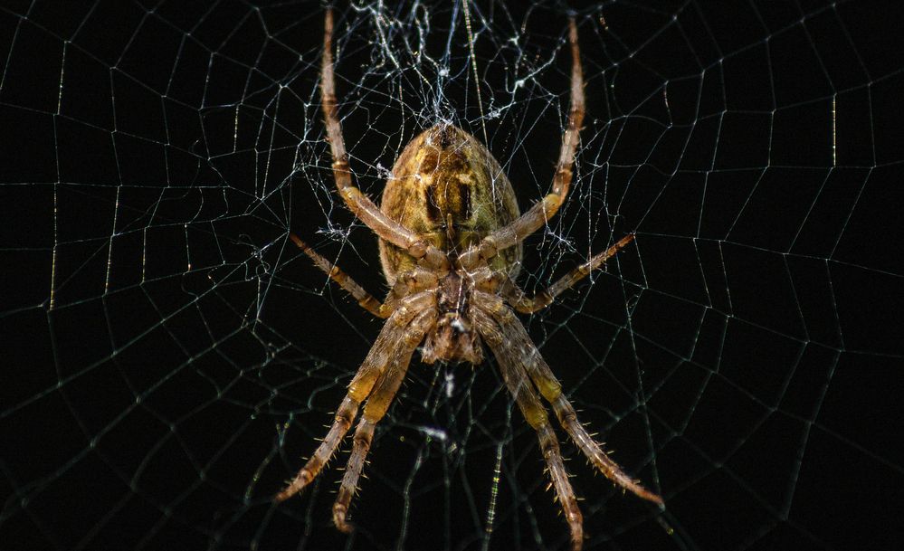 Photograph by Дмитрий Васильев