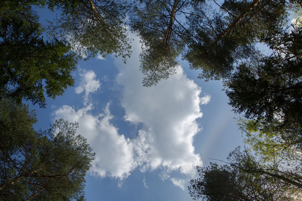 Photograph by Дарья Улюсова