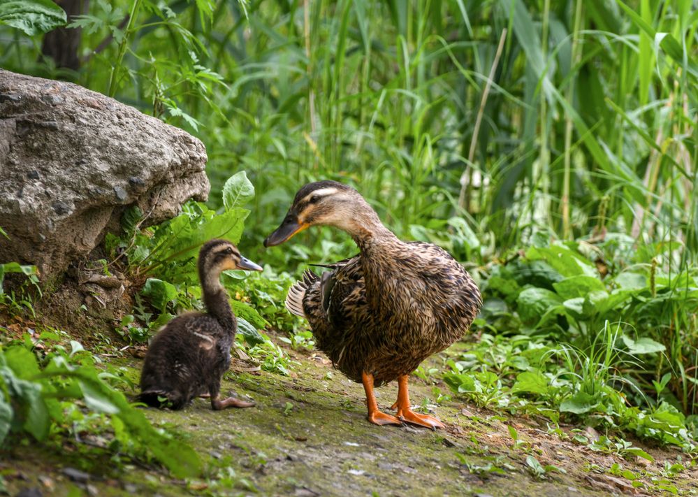 Photograph by Коноплёва Людмила Денисовна