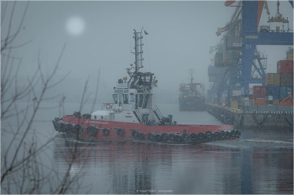 Photograph by Сергей Вальков