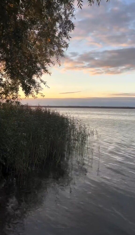 Photograph by Алла Узкая