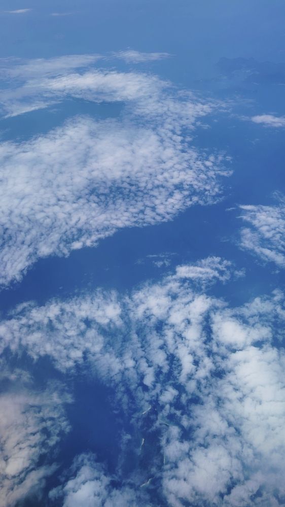 Фотография автора Анна Морозова