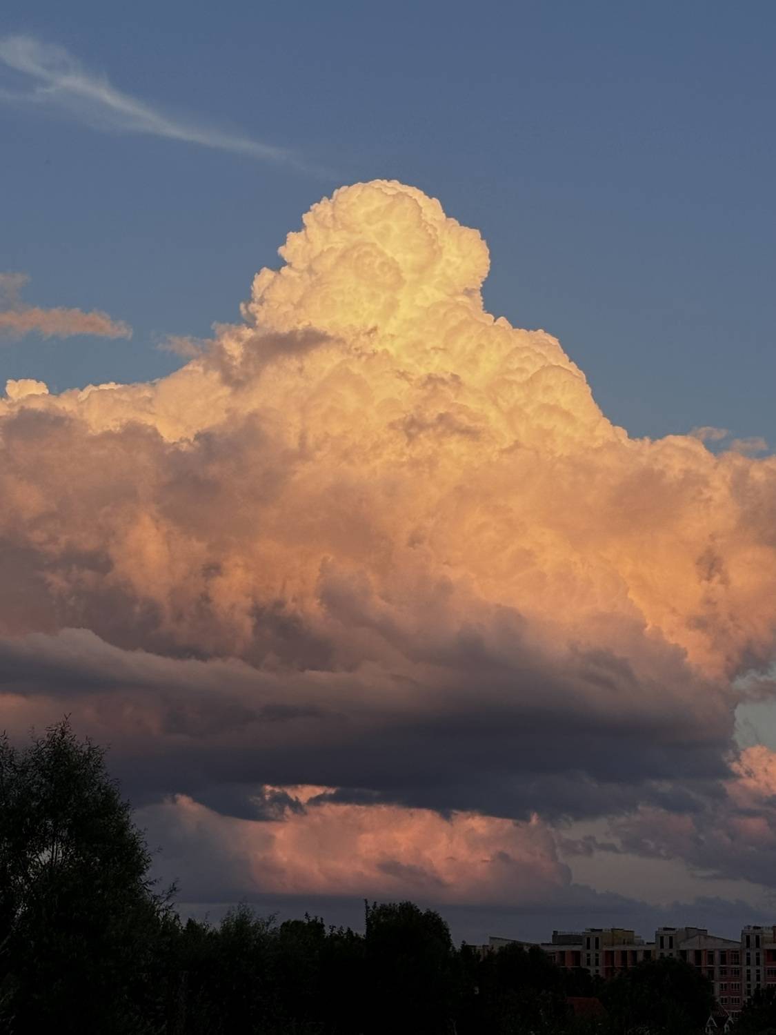 Photo #12512532