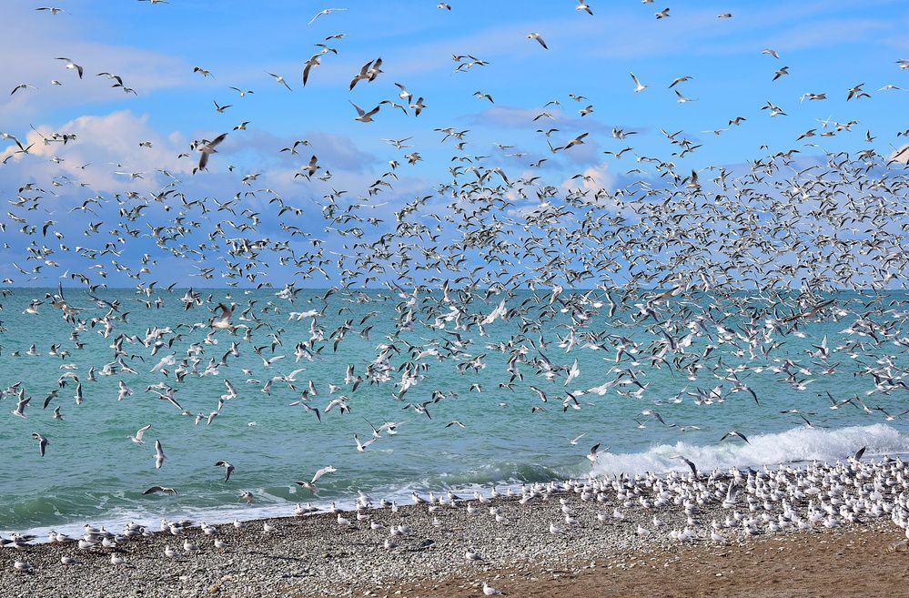 Photograph by Margo Margo