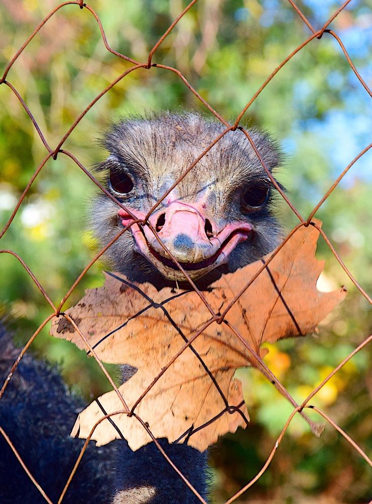 Photograph by Margo Margo