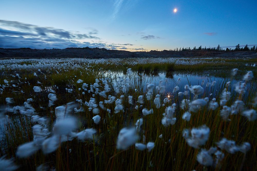 Photograph by Надежда Соболевская