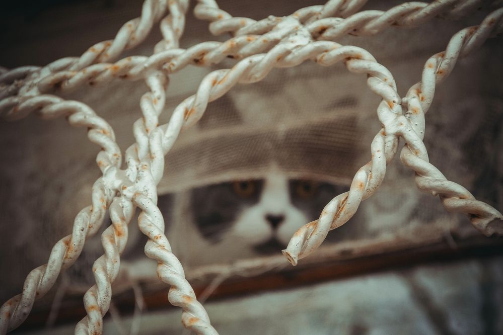 Photograph by Синицына Юлия