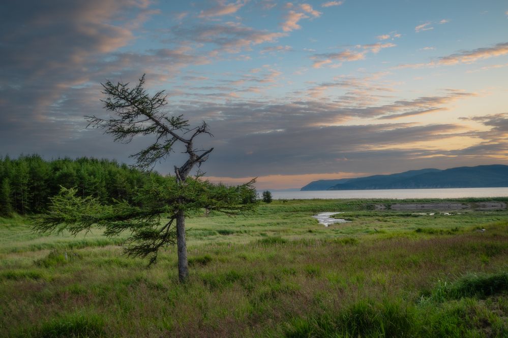 Photograph by Вячеслав Косенков