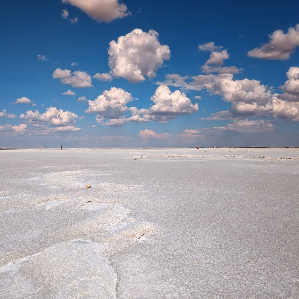 Photograph by AlexaL