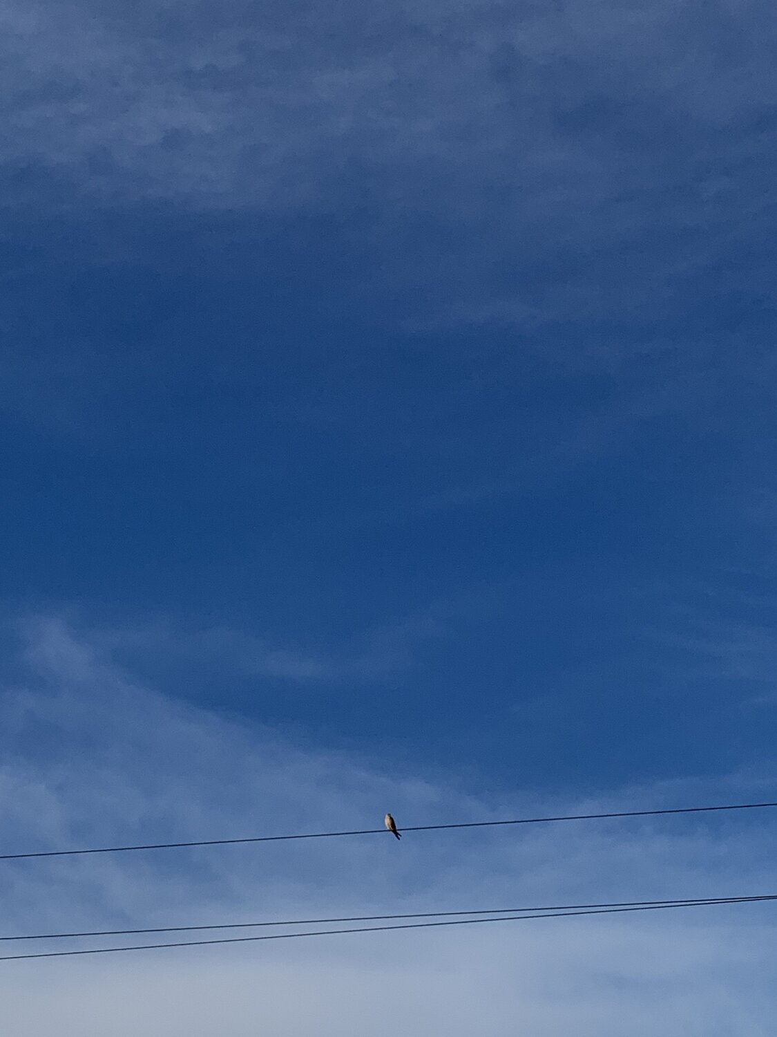 Photo #12512619
