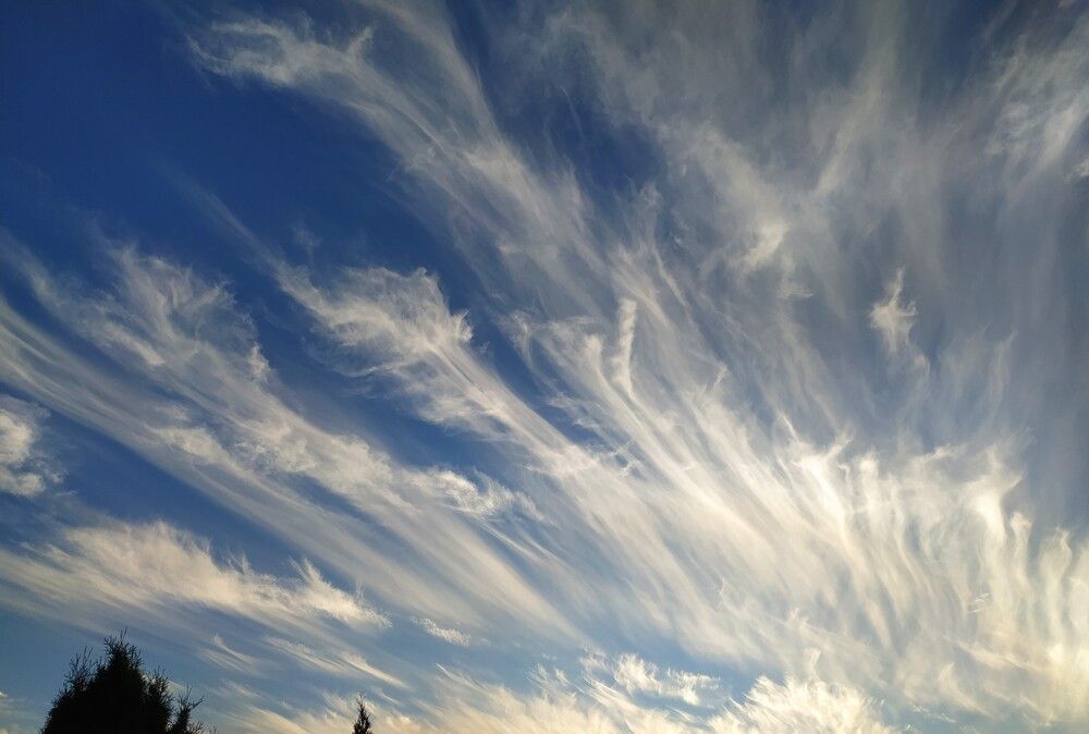 Фотография автора Елена Александрова